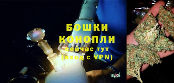 Альфа ПВП Гусев
