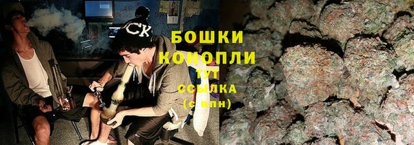 Альфа ПВП Гусев
