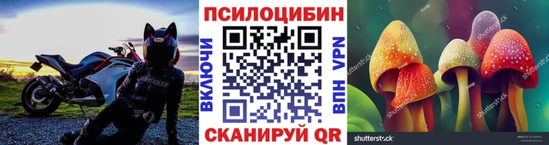 Галлюциногенные грибы Psilocybe  Купить закладки  Миасс 